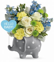 Hello Sweet Baby from Boulevard Florist Wholesale Market